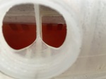 Engine with Radiator