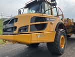 General Appearance with Paint