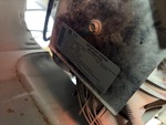 Motor with