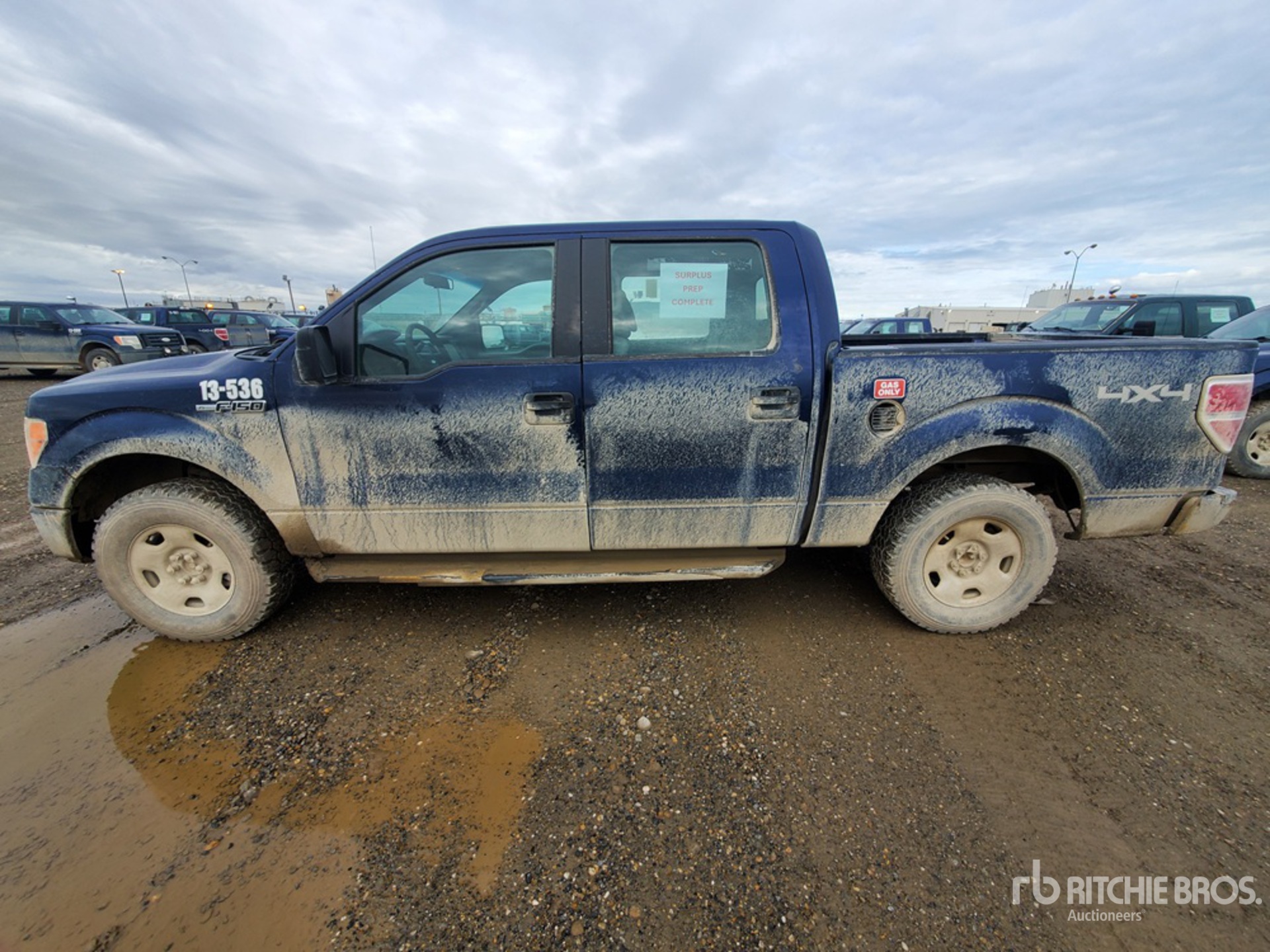 2009 Ford F-150