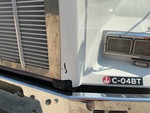 General Appearance with Paint