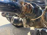4 Underbody - Truck with Assale anteriore