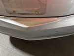 General Appearance with Pintura