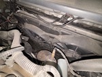 Engine with Radiador