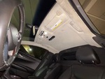 Interior with Head Liner