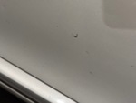 General Appearance with Pintura