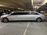 General Appearance with Pintura