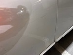 General Appearance with Pintura