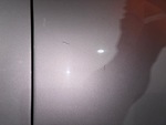 General Appearance with Pintura