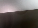 General Appearance with Pintura