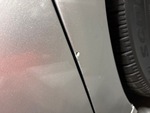 General Appearance with Pintura