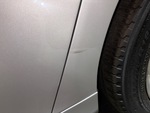 General Appearance with Pintura