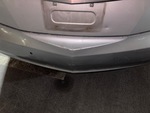 General Appearance with Pintura