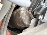 Engine with Exhaust System