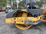 General Appearance with Paint