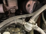 Engine with Exhaust System