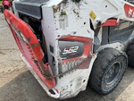 General Appearance with Paint