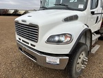General Appearance with Paint