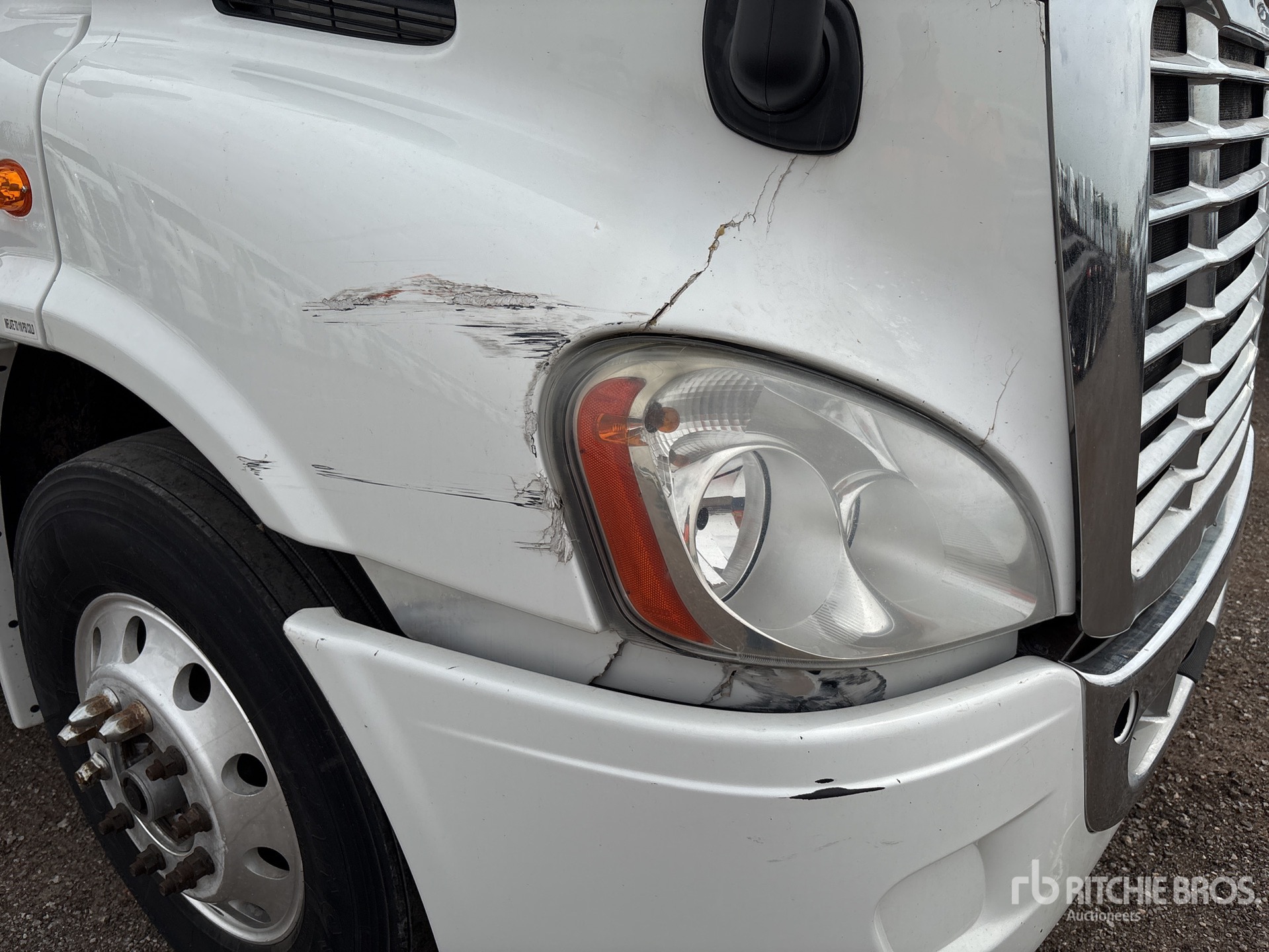 2019 Freightliner CASCADIA 113