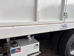 General Appearance with Pintura