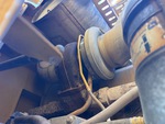 Engine with Exhaust System