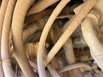 Drivetrain with Transmission