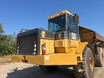 General Appearance with Paint