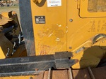 General Appearance with Paint