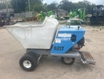 General Appearance with Paint