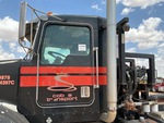 General Appearance with Paint