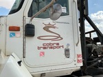 General Appearance with Paint