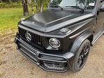 General Appearance with Paint