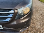 General Appearance with Exterior Lights