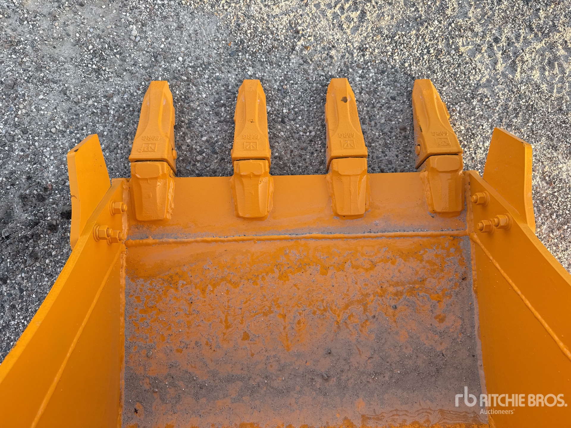 2026 GIYI Cat 305 (Unused)