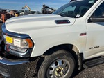 General Appearance with Paint
