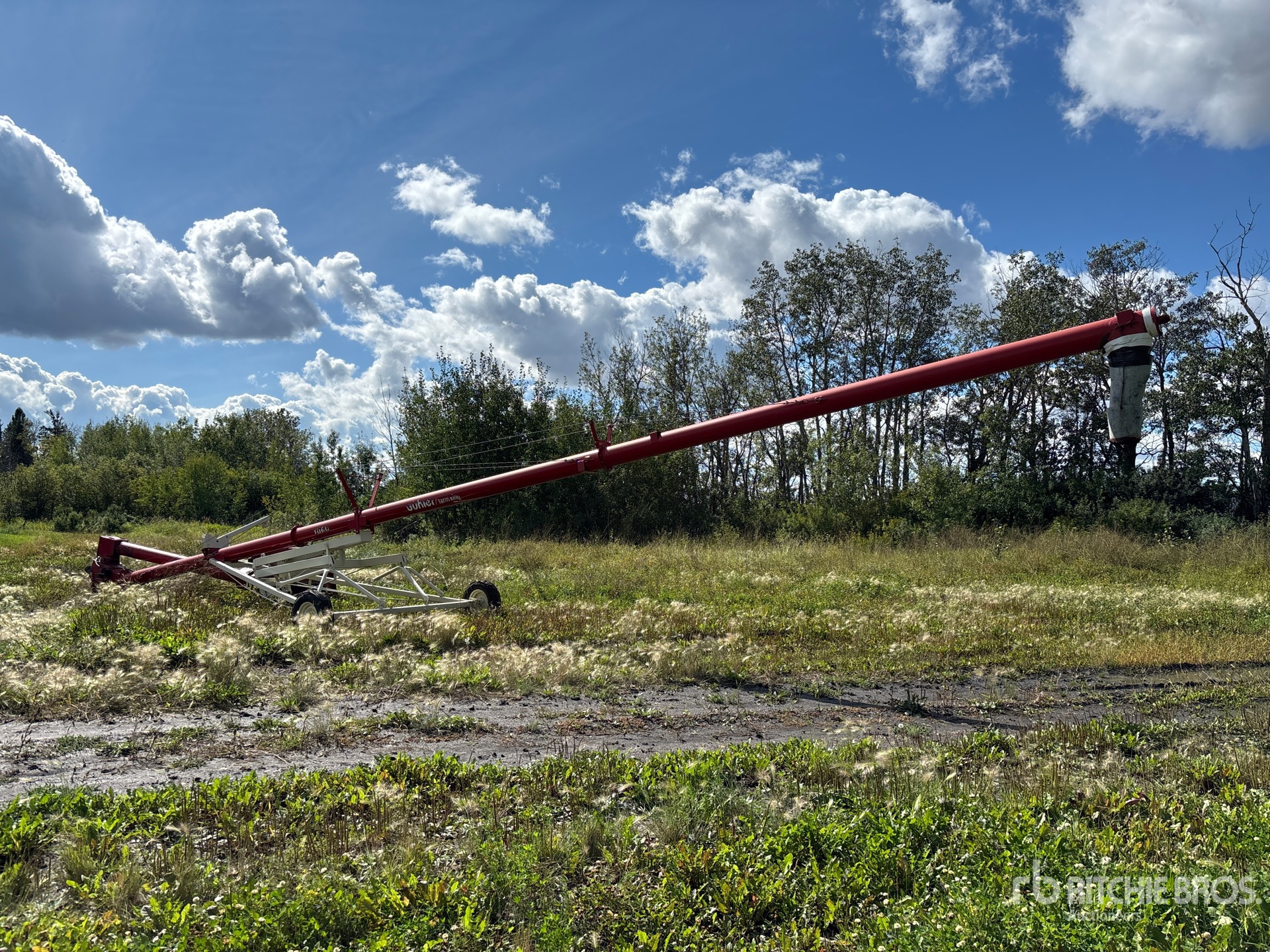 Buhler 1060