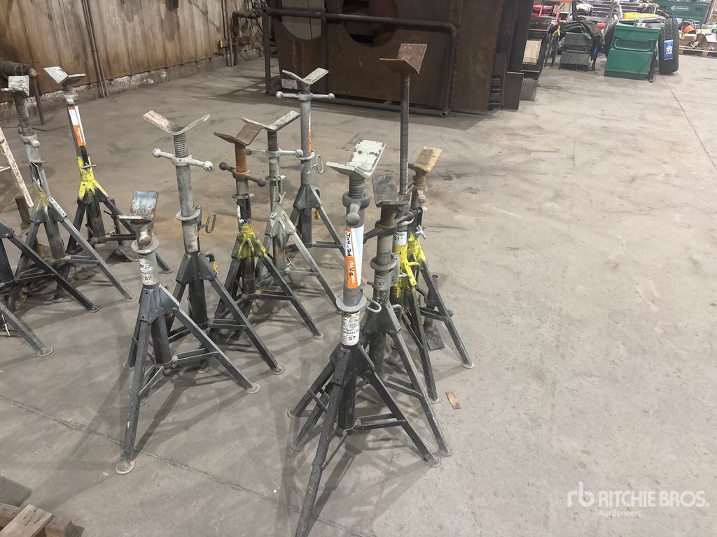 General Appearance with Zdjęcie, prawy górny róg