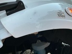 General Appearance with Paint