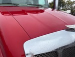 General Appearance with Paint