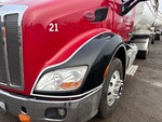General Appearance with Paint