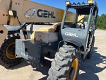 General Appearance with Paint