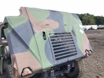 General Appearance with Paint