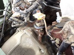 Engine with Oil Pump/Tach Drive (behind doghouse cover)