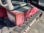 General Appearance with Paint