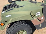 General Appearance with Paint