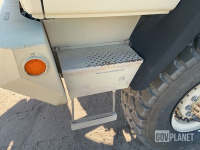 General Appearance with Paint