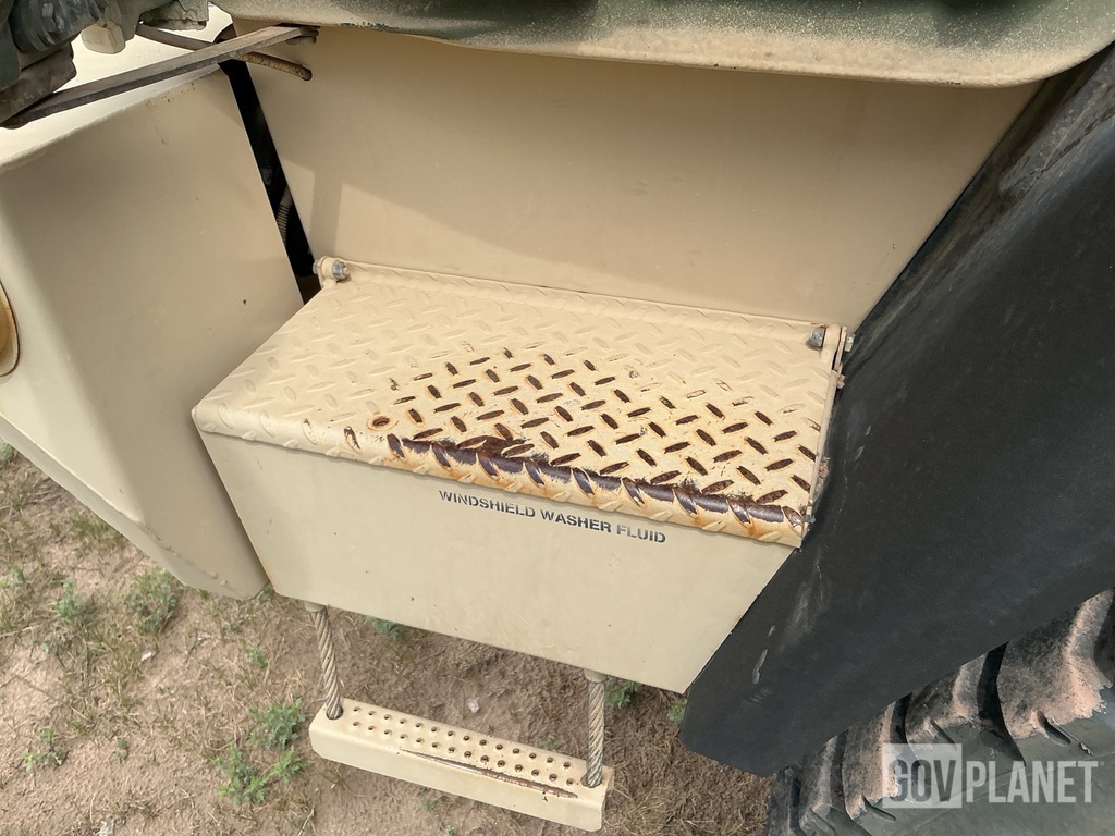 General Appearance with Paint