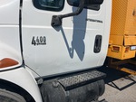 General Appearance with Paint