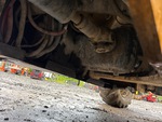 Drivetrain with Transfer Case / Drop Box