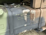 General Appearance with Paint